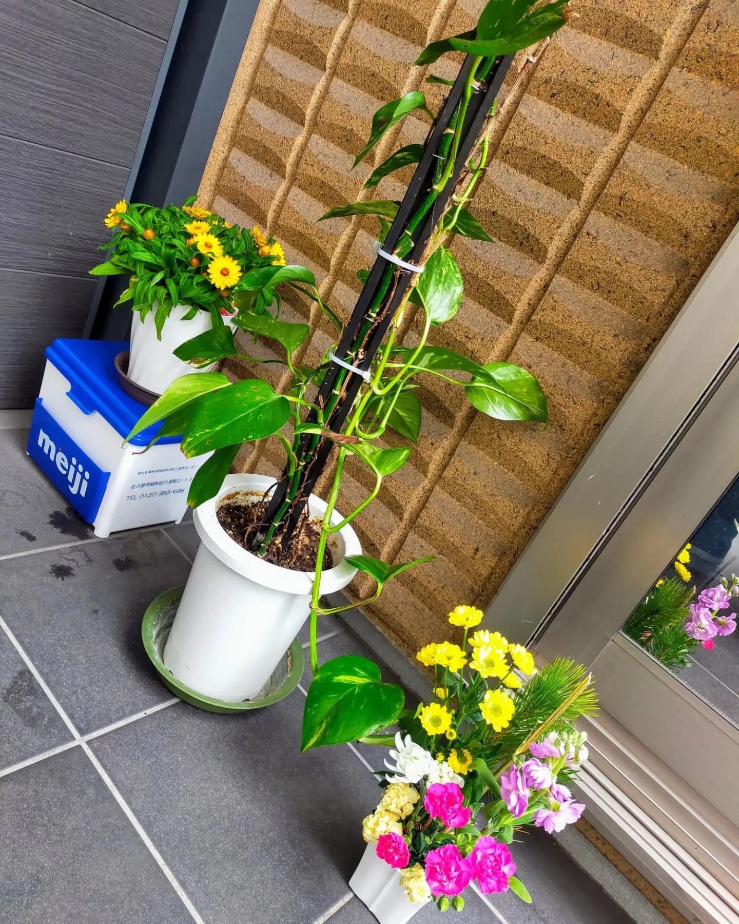 「花と観葉植物」