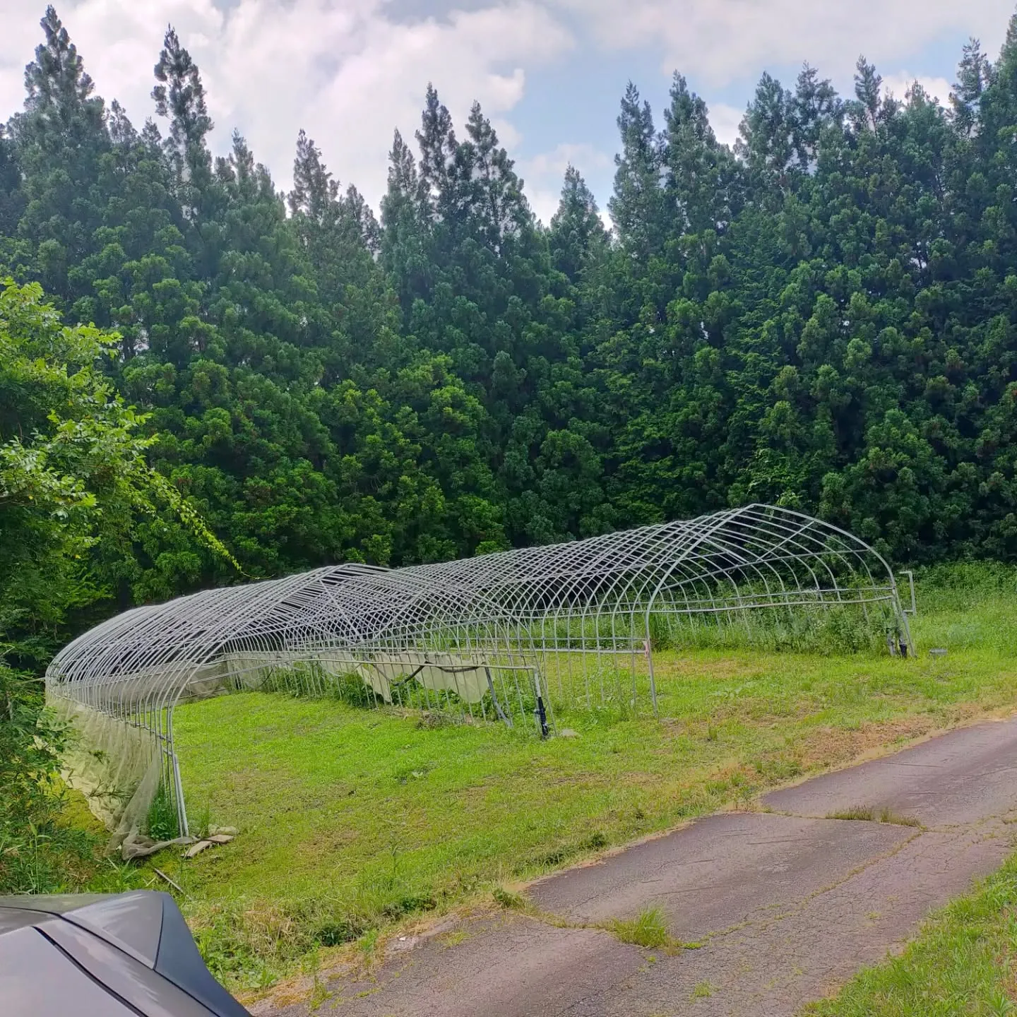 🌲【下呂市の山林調査へ】