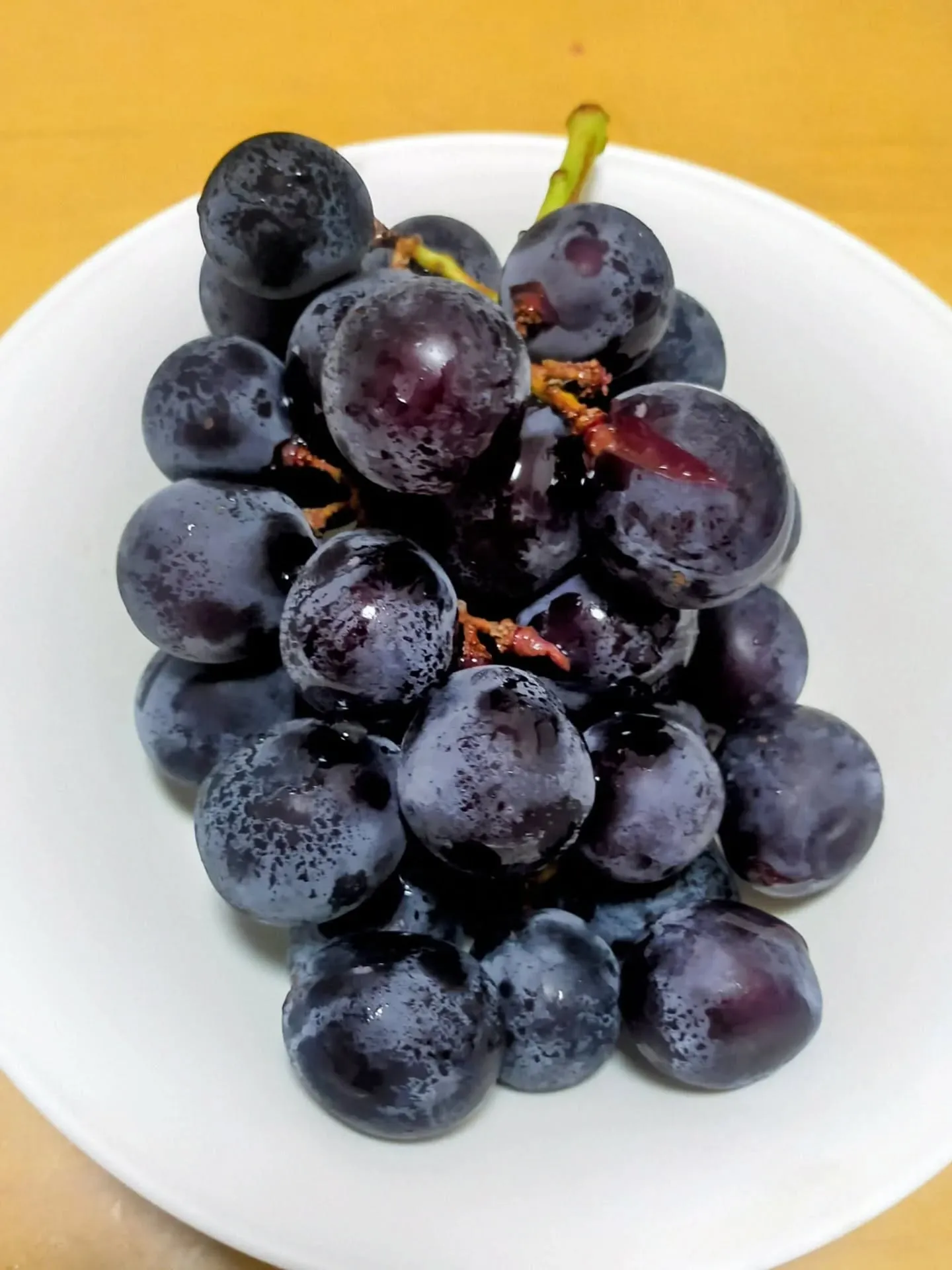 🍇✨今年も届きました！✨🍇