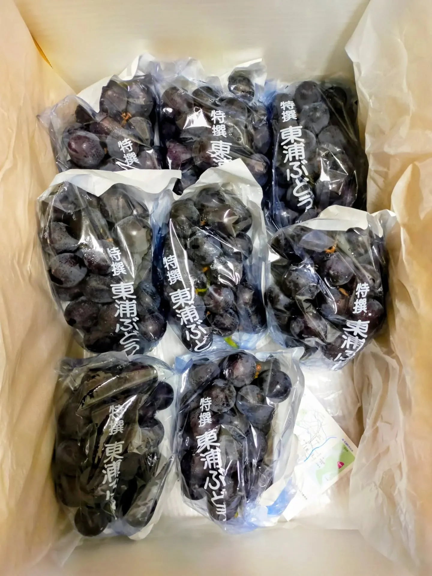 🍇✨今年も届きました!✨🍇