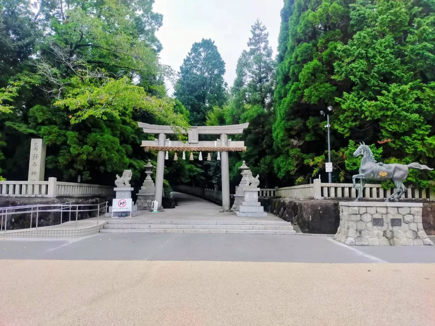🌸 名古屋で密かに人気!「神玉巡拝」スタートしました ⛩✨