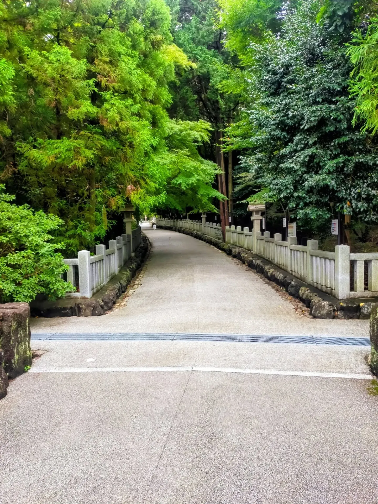 🌸 名古屋で密かに人気!「神玉巡拝」スタートしました ⛩✨