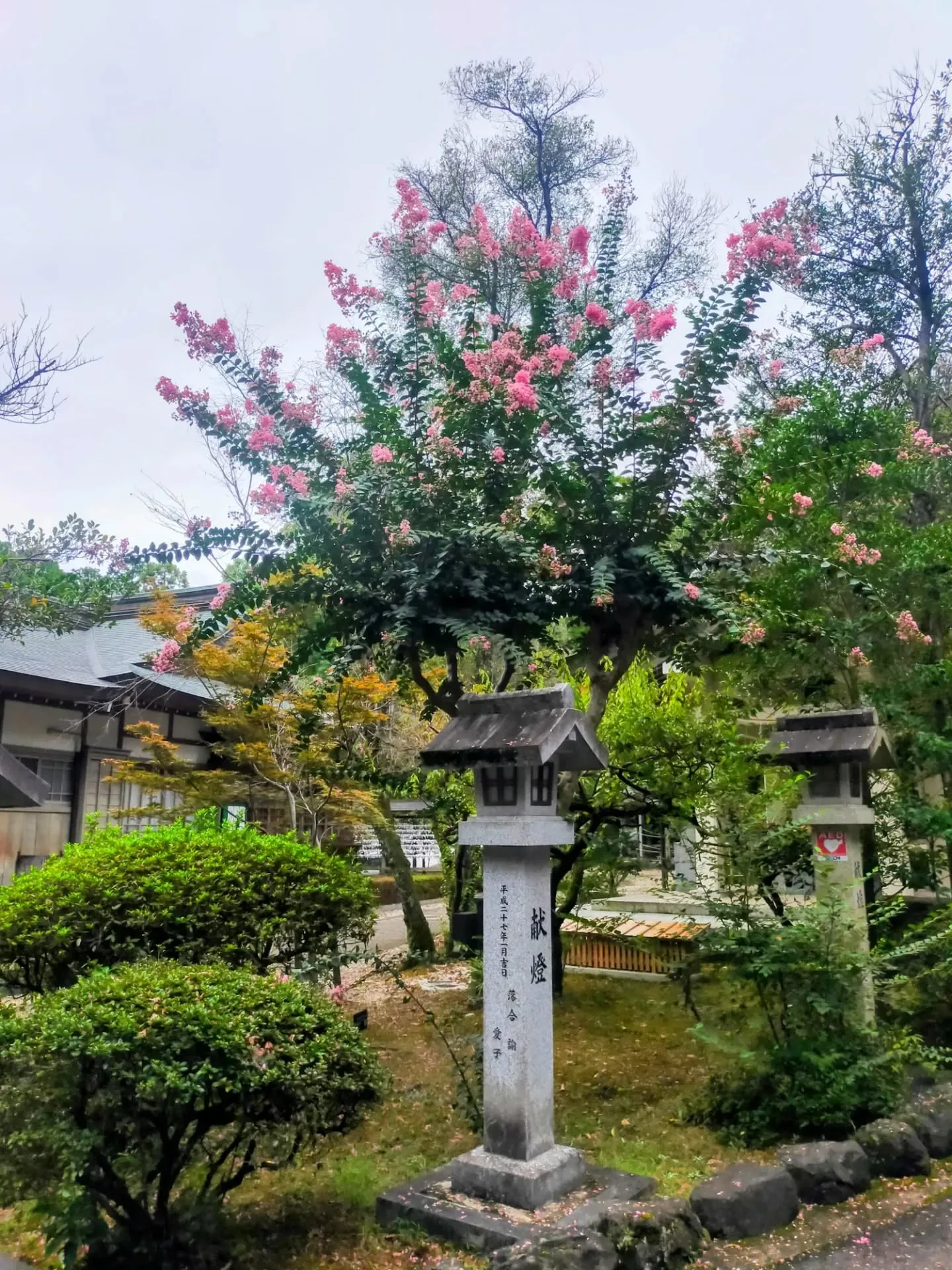 🌸 名古屋で密かに人気!「神玉巡拝」スタートしました ⛩✨