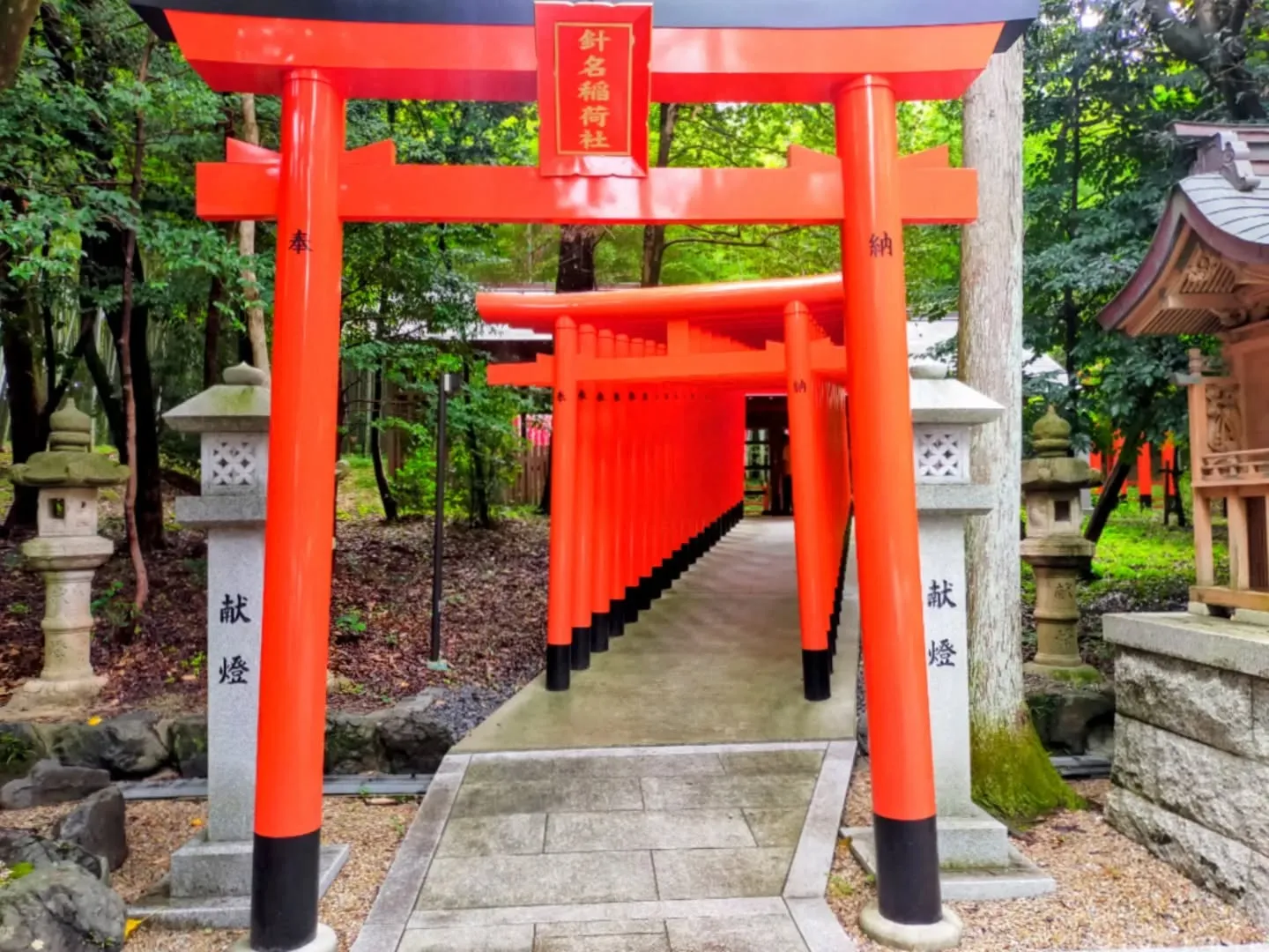 🌸 名古屋で密かに人気!「神玉巡拝」スタートしました ⛩✨