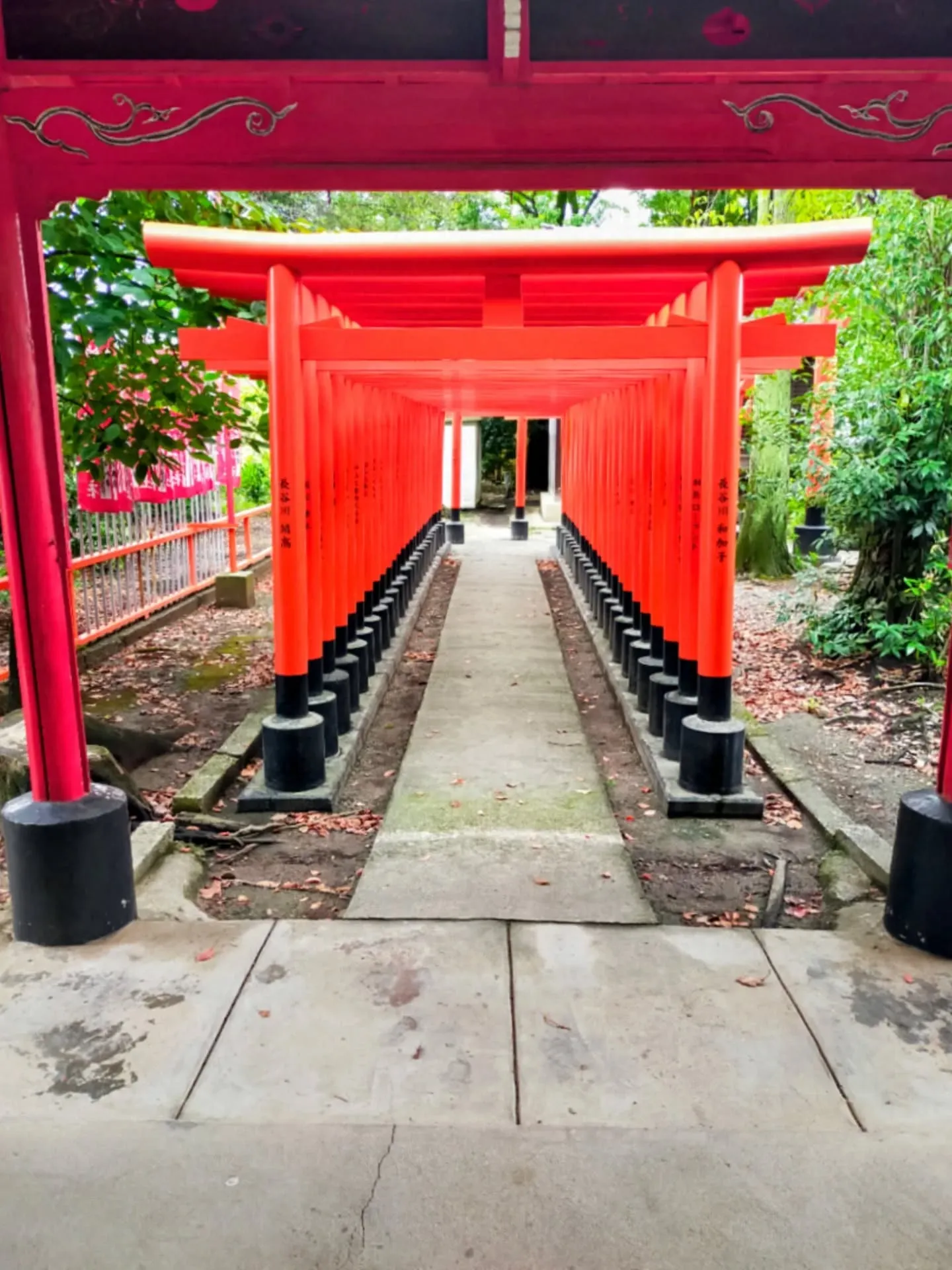 ⛩️【神玉巡拝 第二弾 川原神社】
