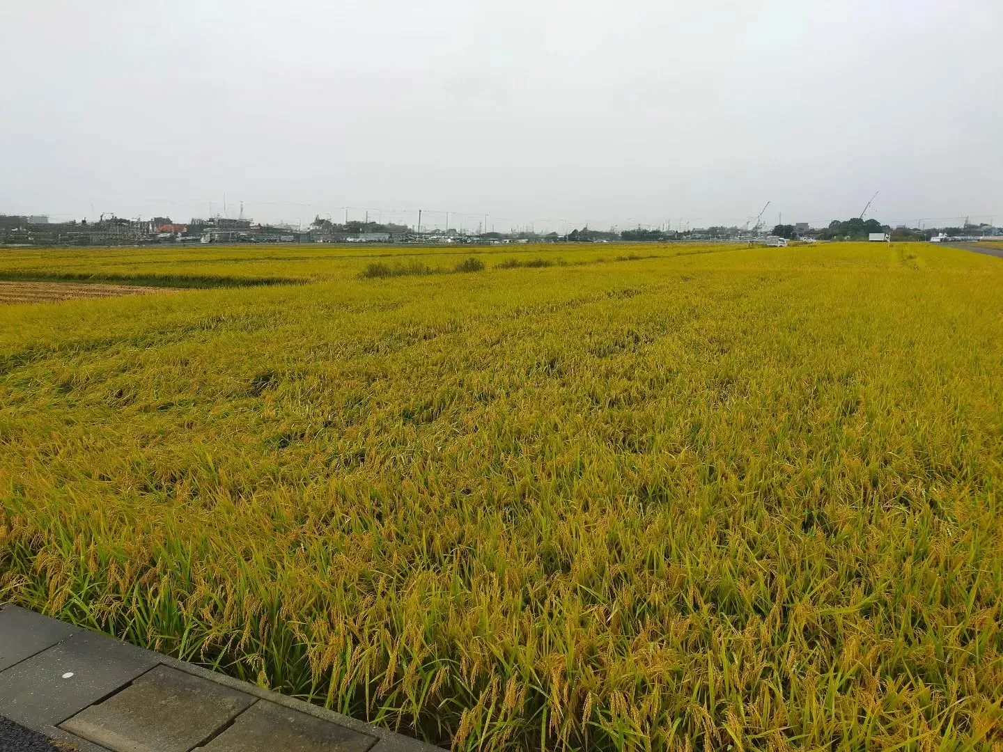 📍【現地調査：一宮市、岩倉市、小牧市の物流倉庫用地】