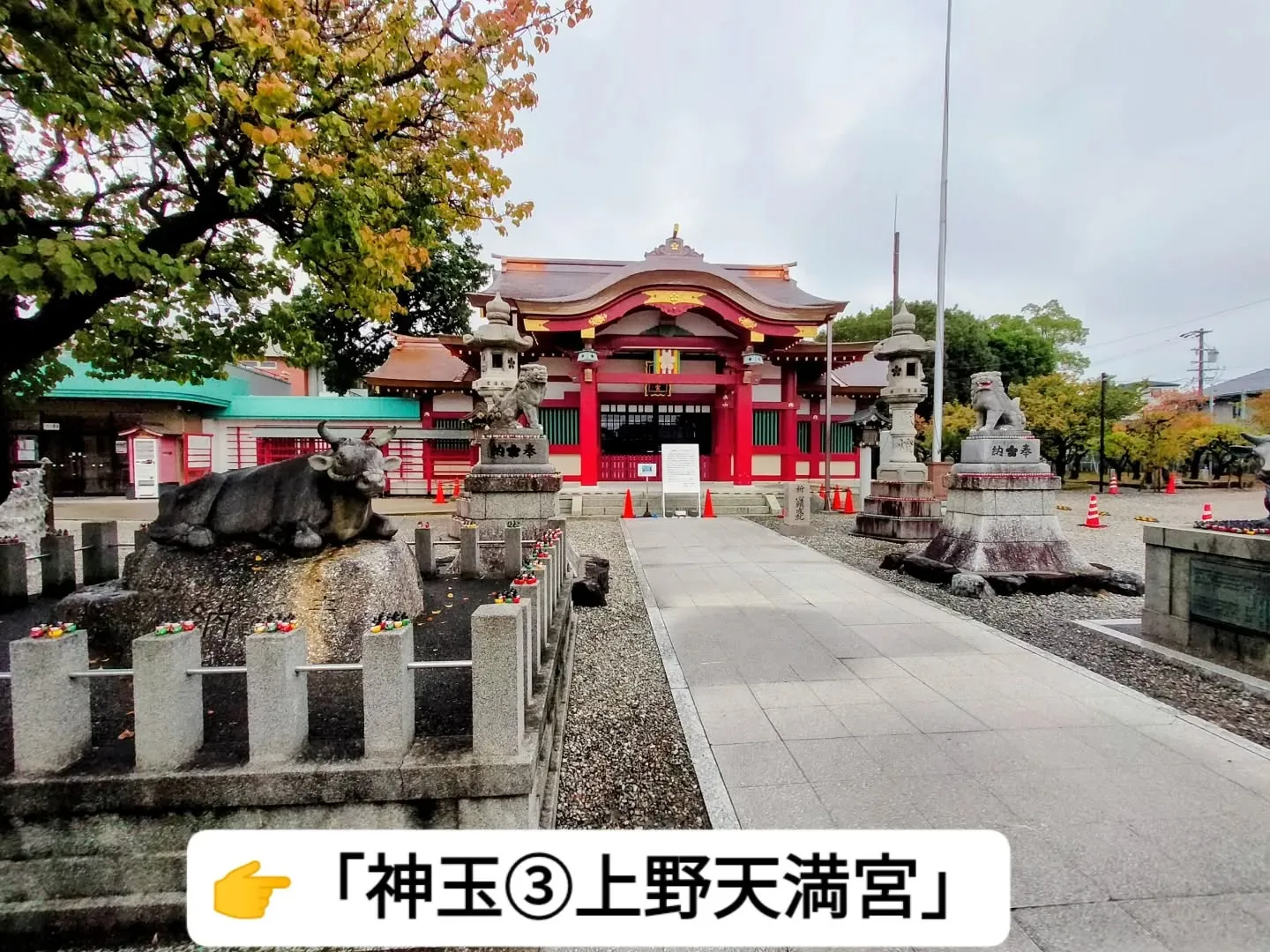 📍【神玉③ 上野天満宮】
