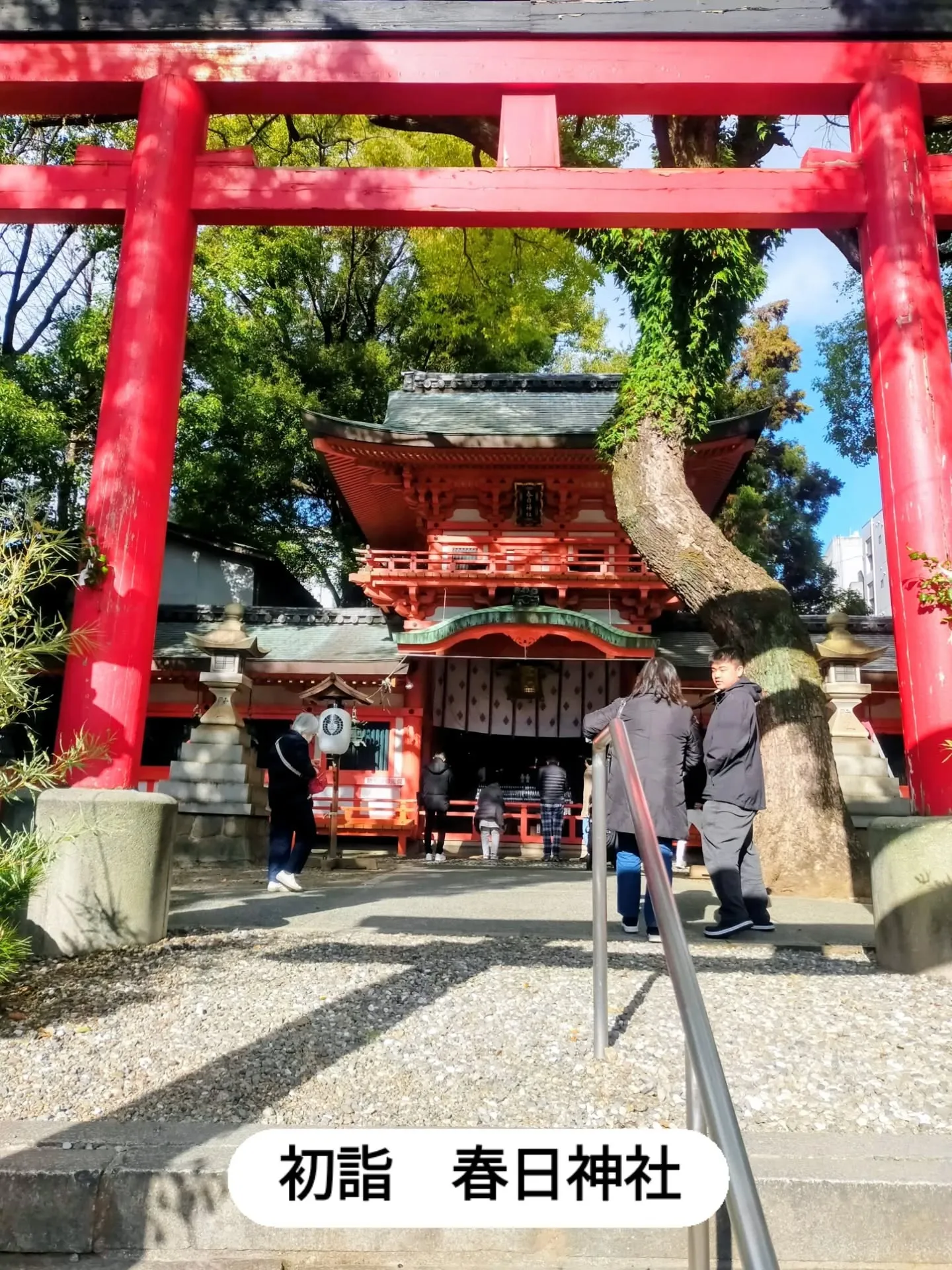 明けましておめでとうございます🎍