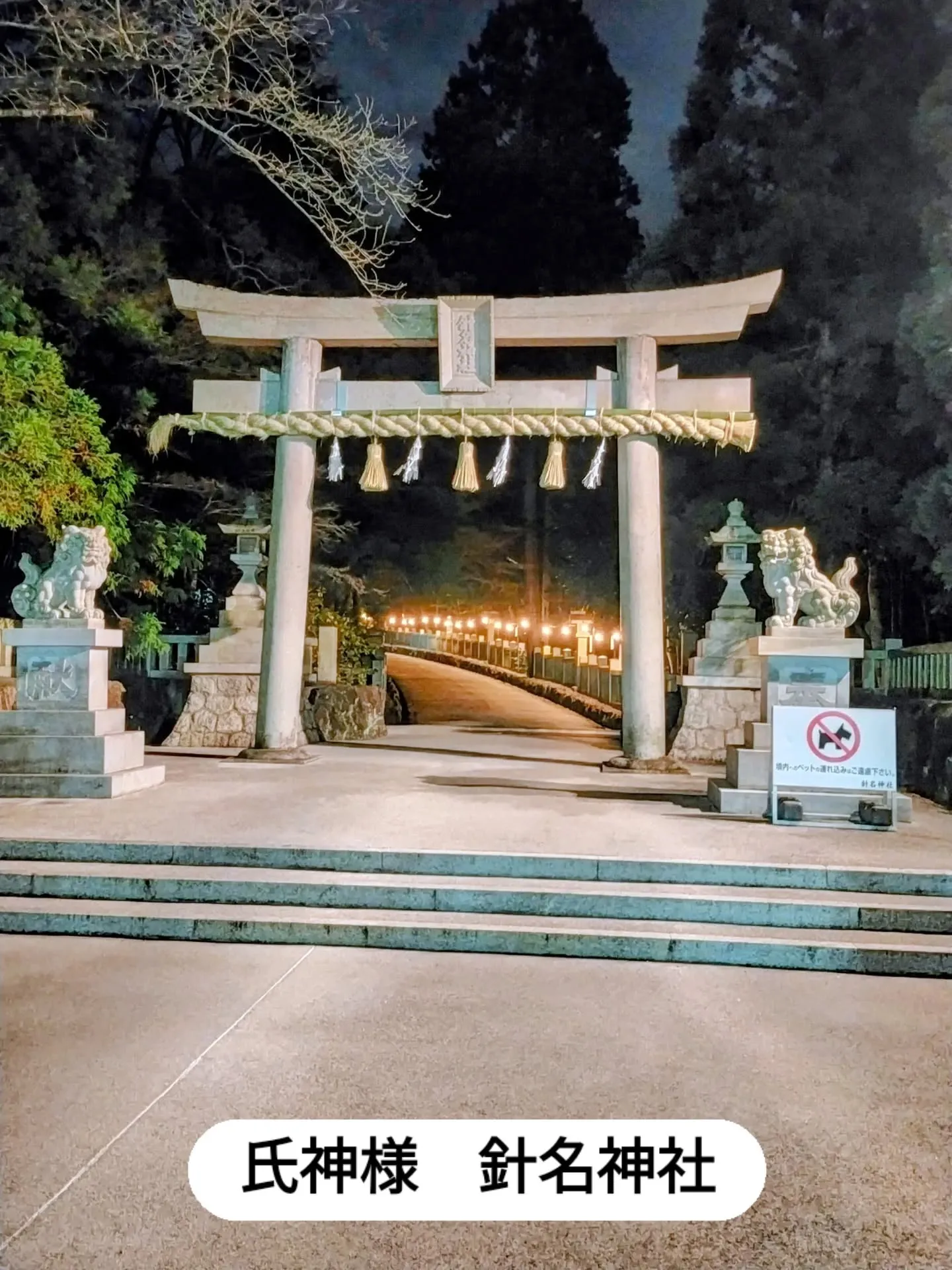 元旦のお昼頃、