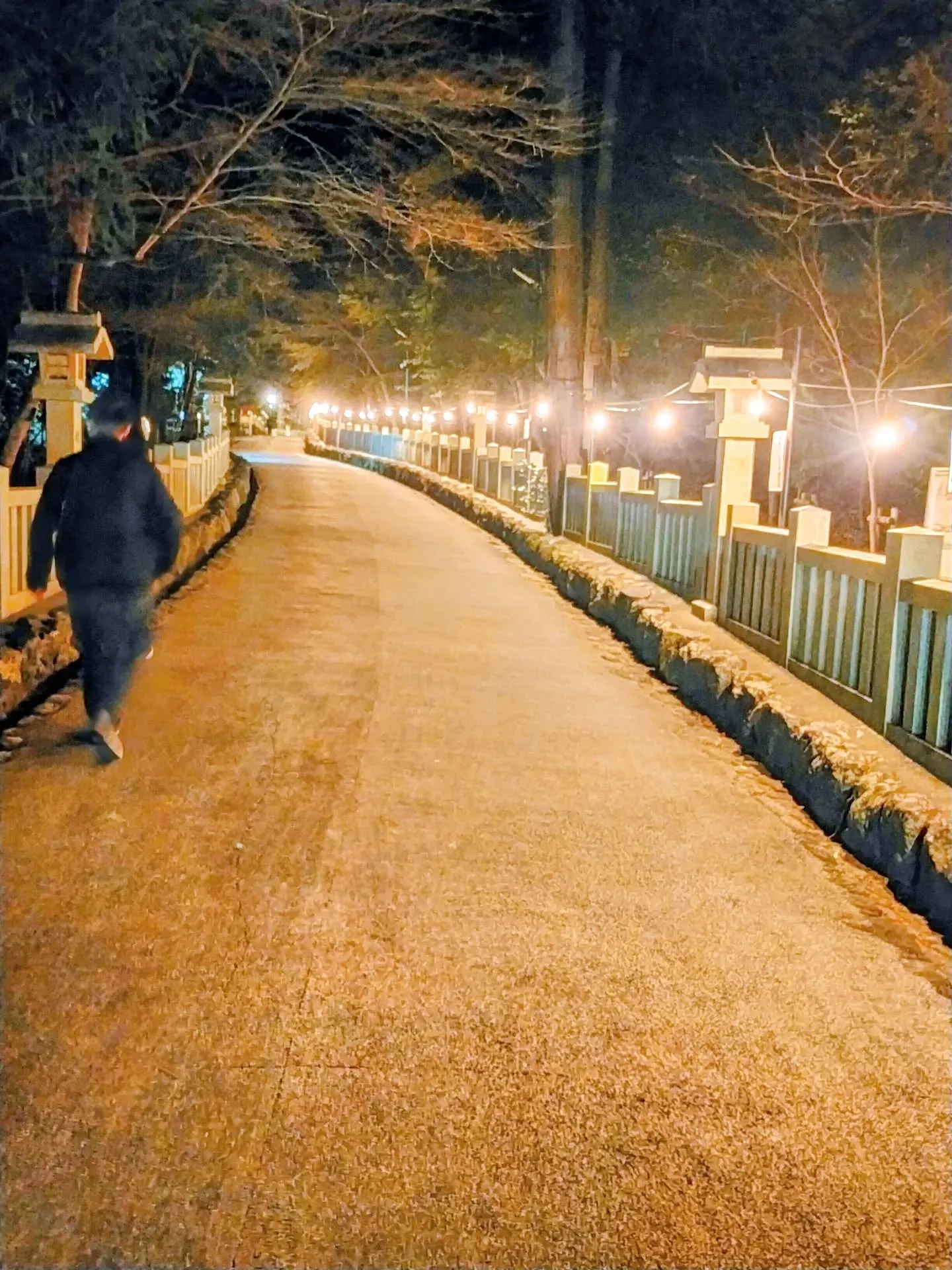 元旦のお昼頃、