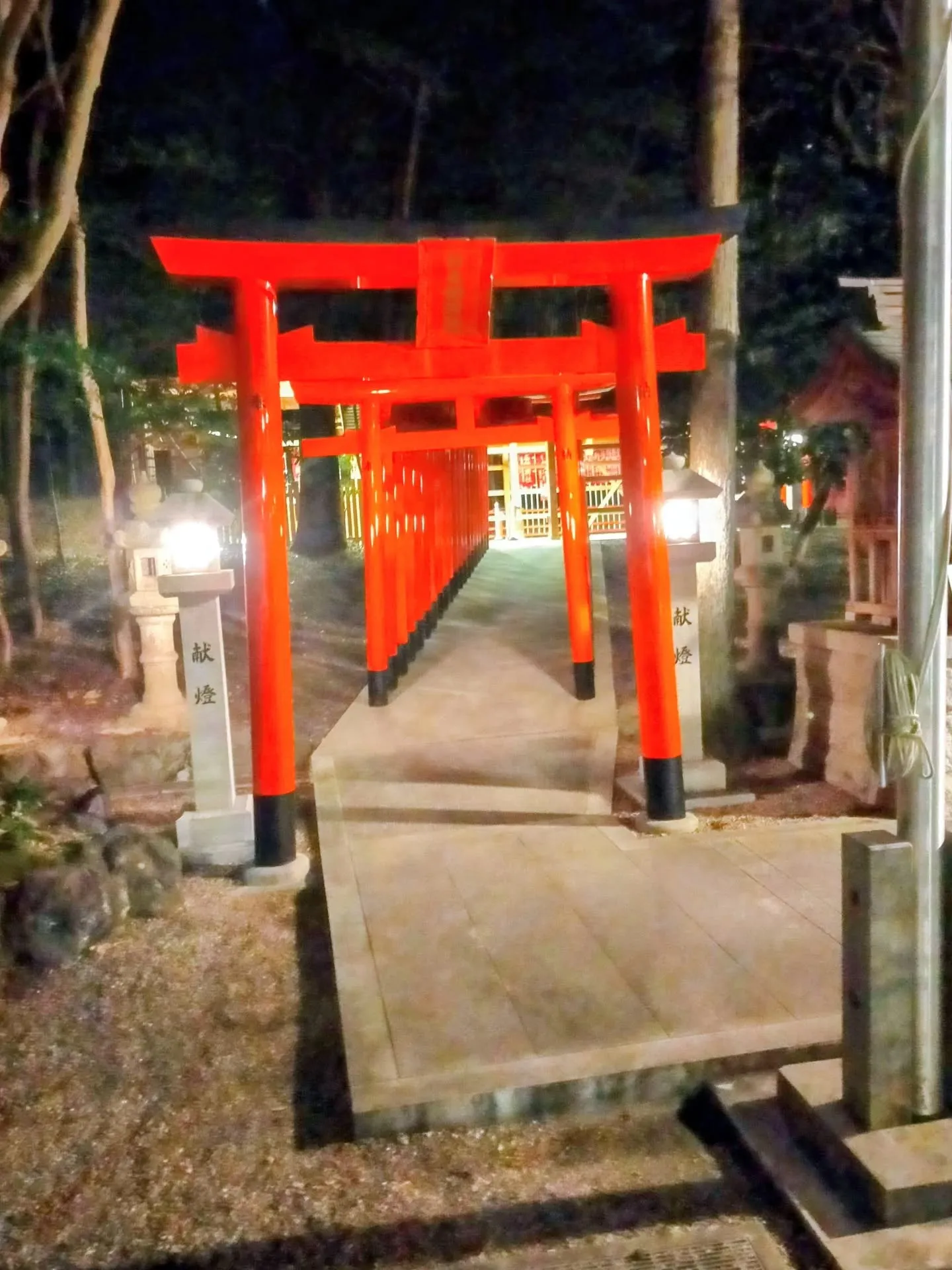 元旦のお昼頃、