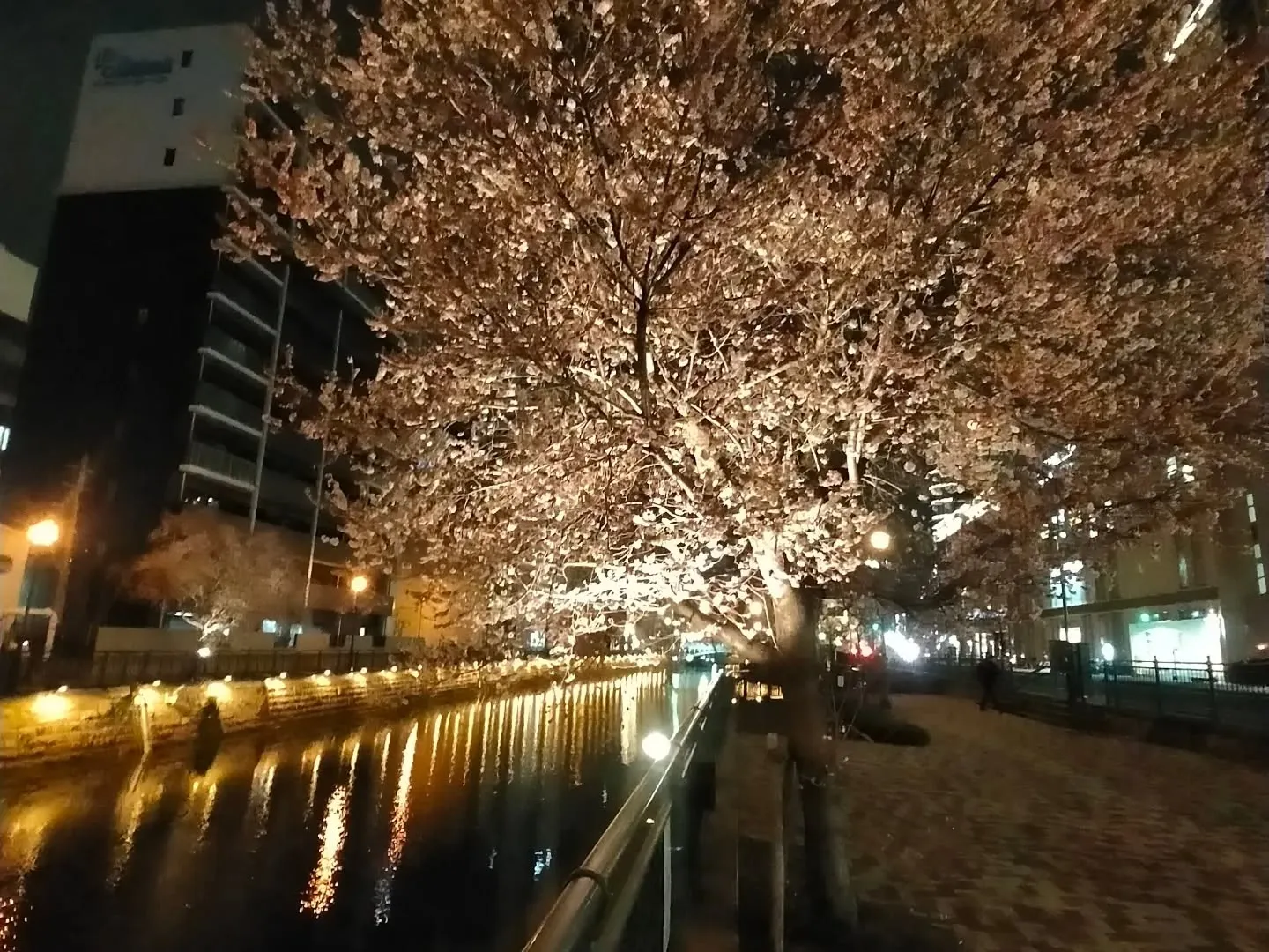 先月、**積水ハウス様主催の新年交流会（40社ご招待）**に...