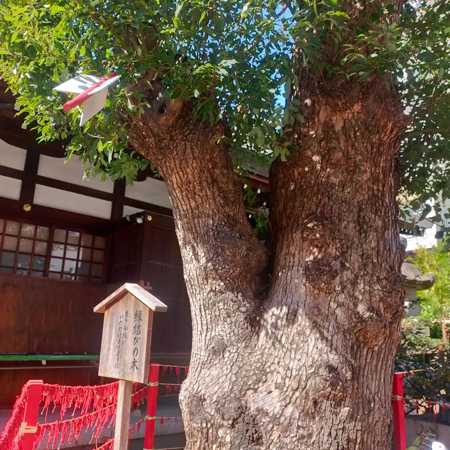 📍大須・三輪神社