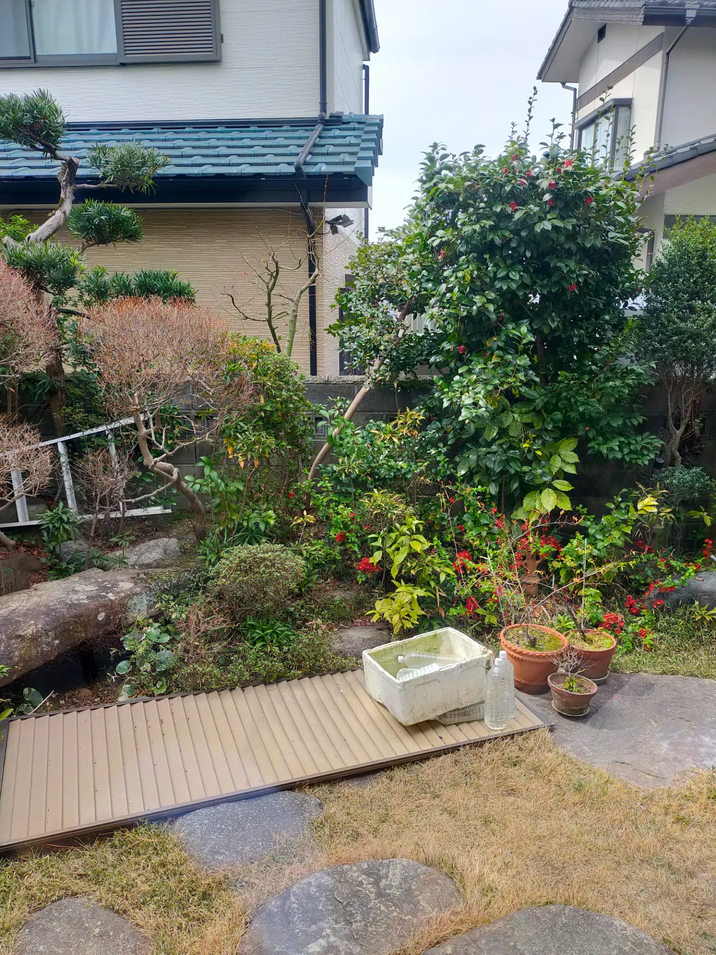 室内から庭への撮影